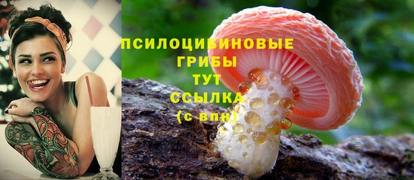 jwh Кукмор