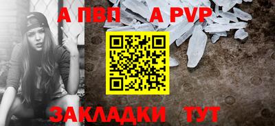 кокс Кингисепп
