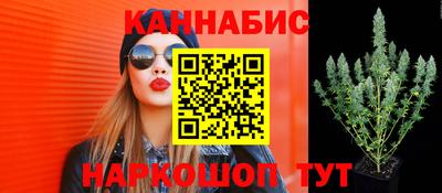 кокс Кингисепп