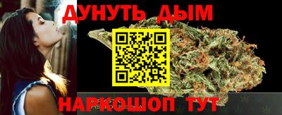 кокс Кингисепп