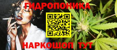 кокс Кингисепп