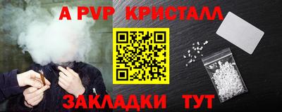 кокс Кингисепп