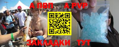 кокс Кингисепп