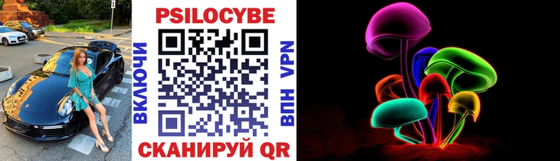 Псилоцибиновые грибы Cubensis  Сургут 