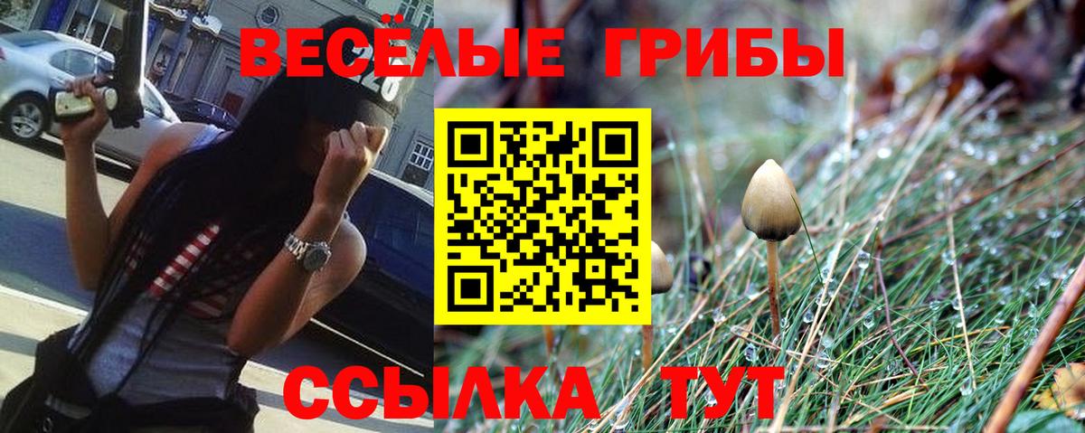 Галлюциногенные грибы MAGIC MUSHROOMS  Сургут  Псилоцибиновые грибы MAGIC MUSHROOMS 